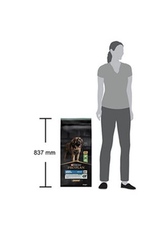 Proplan Köpek Maması Büyük Irk Kuzu,Pirinçli 14 Kg