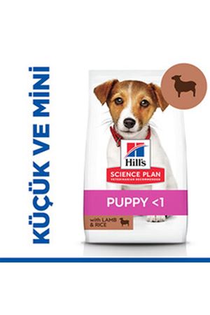 Hill's Yavru Köpek Maması K.Irk Kuzu,Pirinçli 6 Kg