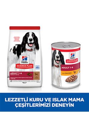 Hill's Köpek Maması Orta Irk Kuzu, Pirinçli 2.5 Kg