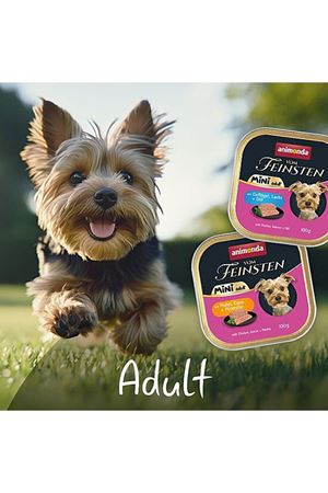 Animonda Köpek Yaş Maması Tavuk Ve Kaz Etli 100 G