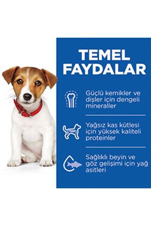 Hill's Yavru Köpek Maması K.Irk Kuzu,Pirinçli 6 Kg