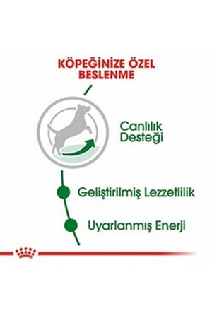Royal Canin Köpek Maması 8+ Mini Irk 2 Kg