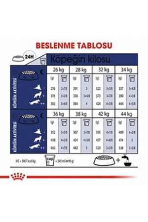 Royal Canin Köpek Maması Büyük Irk 15 Kg
