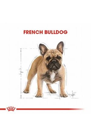 Royal Canin Köpek Maması French Bulldog 3 Kg