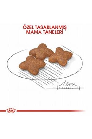 Royal Canin Köpek Maması Küçük Irk 2 Kg