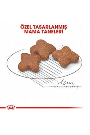 Royal Canin Köpek Maması 8+ Mini Irk 2 Kg