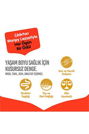 Wanpy Köpek Maması Sığır Etli Tahılsız 1.5 Kg