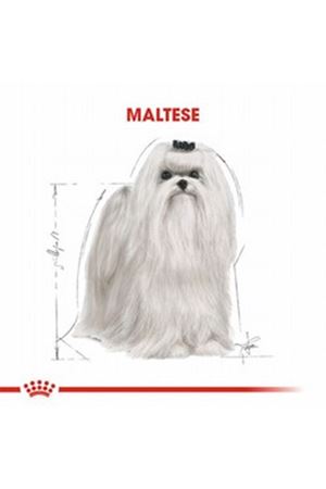 Royal Canin Köpek Maması Maltese 1.5 Kg