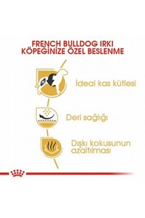 Royal Canin Köpek Maması French Bulldog 3 Kg
