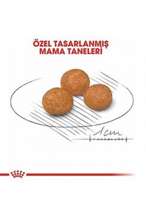 Royal Canin Köpek Maması Küçük Irk 1.5 Kg