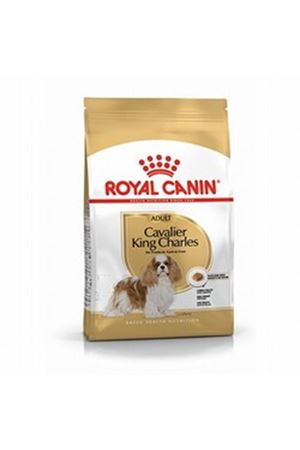 Royal Canin Köpek Mama Cavalier King Charles 1.5Kg
