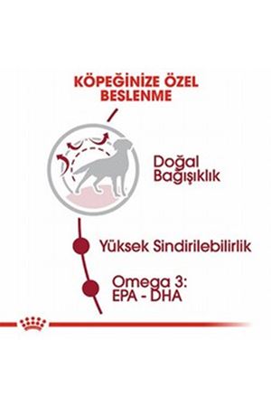Royal Canin Köpek Maması Orta Irk 15 Kg
