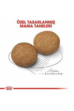 Royal Canin Köpek Maması Orta Irk 15 Kg