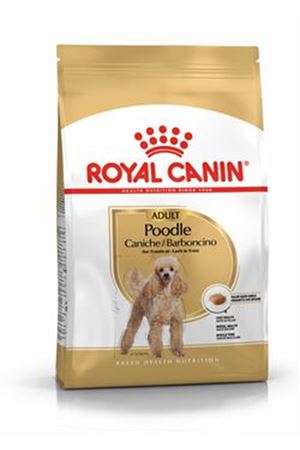Royal Canin Köpek Maması Poodle 3 Kg