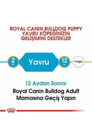 Royal Canin Yavru Köpek Maması Fransız Bulldog 3Kg