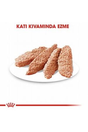 Royal Canin Köpek Yaş Maması Dermacomfort 85 G