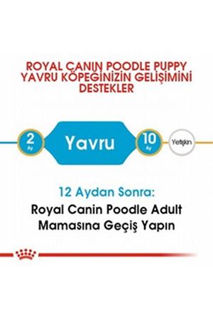 Royal Canin Yavru Köpek Maması Poodle 3 Kg
