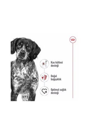 Royal Canin Köpek Yaş Maması Loaf Mousse 410 G