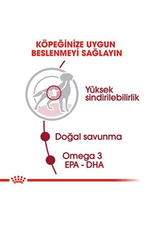 Royal Canin Köpek Yaş Maması Orta Irk 140 G