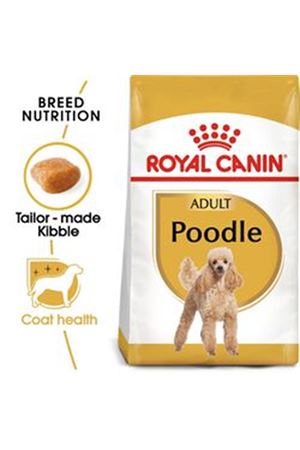 Royal Canin Köpek Maması Poodle 3 Kg