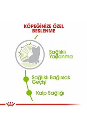 Royal Canin Köpek Maması 12+ Küçük Irk 1.5 Kg