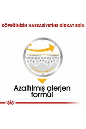 Royal Canin Köpek Yaş Maması Dermacomfort 85 G