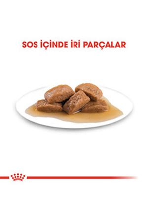 Royal Canin Köpek Yaş Maması Büyük Irk 140 G
