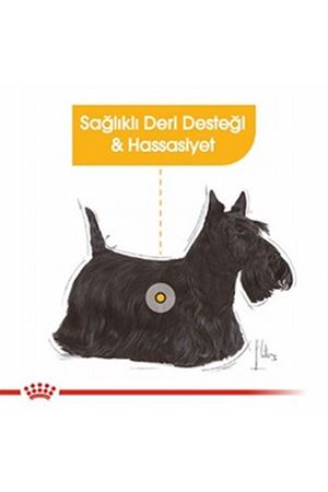 Royal Canin Köpek Maması Dermacomfort Mini Irk 3Kg