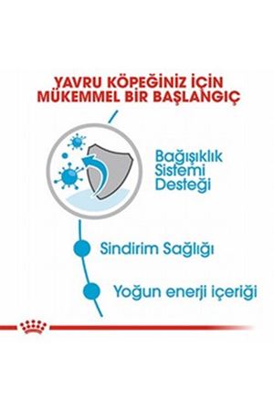 Royal Canin Yavru Köpek Yaş Maması Mini Irk 85 G