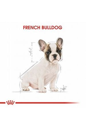 Royal Canin Yavru Köpek Maması Fransız Bulldog 3Kg