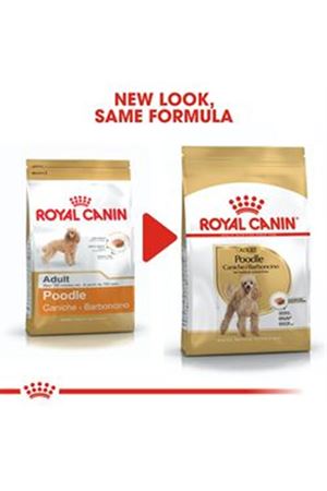 Royal Canin Köpek Maması Poodle 3 Kg