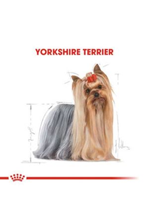 Royal Canin Köpek Yaş Maması Yorkshire 85 G