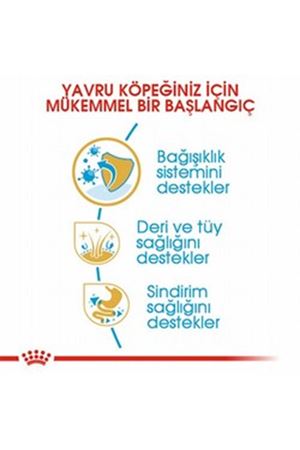 Royal Canin Yavru Köpek Maması Yorkshire 1.5 Kg