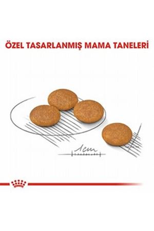 Royal Canin Köpek Maması Dermacomfort Mini Irk 3Kg