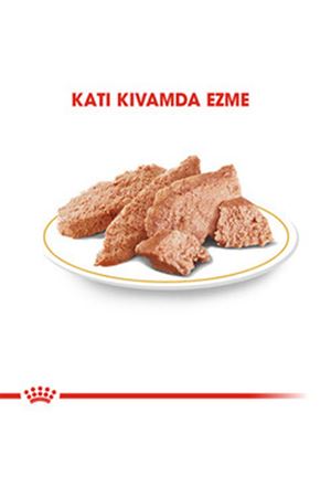Royal Canin Köpek Yaş Maması Yorkshire 85 G