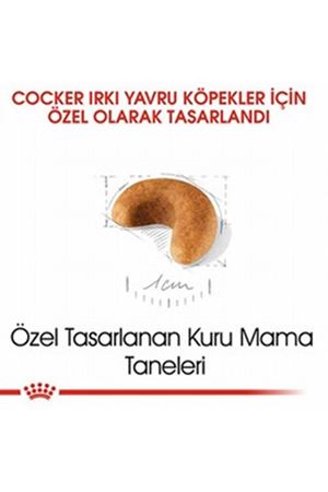 Royal Canin Yavru Köpek Maması Cocker 3 Kg