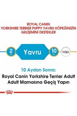 Royal Canin Yavru Köpek Maması Yorkshire 1.5 Kg