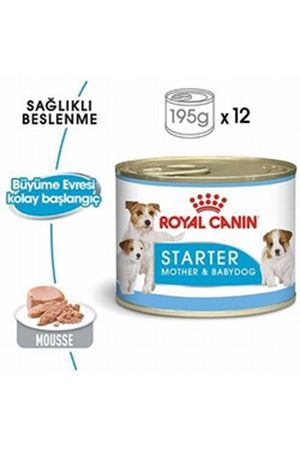 Royal Canin Köpek Yaş Maması Anne Yavru 195 G