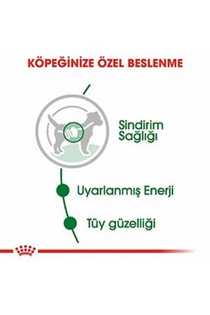 Royal Canin Köpek Yaş Maması Mini Irk 85 G