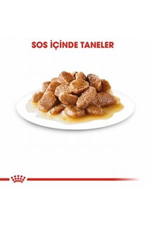 Royal Canin Köpek Yaş Maması Mini Irk 85 G