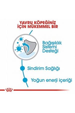 Royal Canin Yavru Köpek Maması Mini Küçük Irk 4 Kg