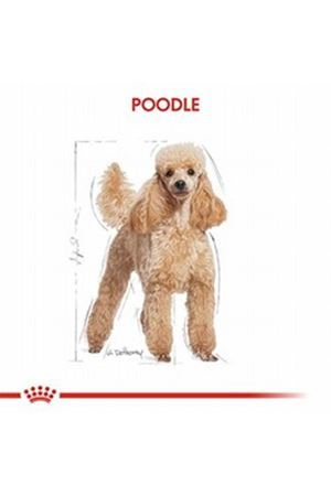 Royal Canin Köpek Yaş Maması Tüy Sağlığı 85 G
