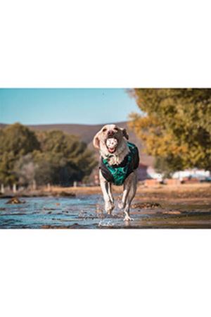 M-Pets Köpek Oyuncağı Parçalanmaz Top Beyaz 7 Cm