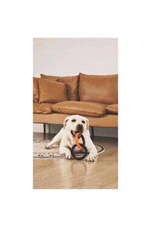 M-Pets Köpek Oyuncağı Double Ring King 2'Li