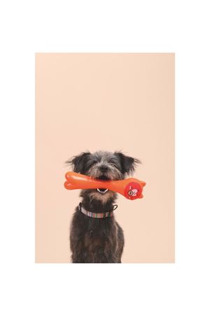 M-Pets Köpek Oyuncağı Rob Ödül Hazneli Turuncu