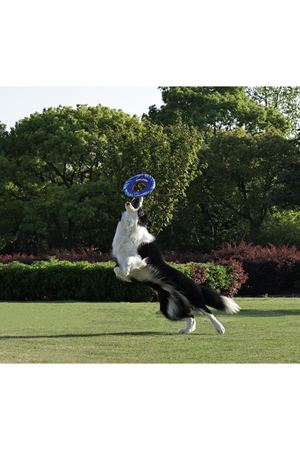 M-Pets Köpek Oyuncağı Sprintpuff Frisbee Mavi 24Cm