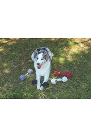 M-Pets Köpek Diş İpi İki Düğümlü Gri 28*9 Cm