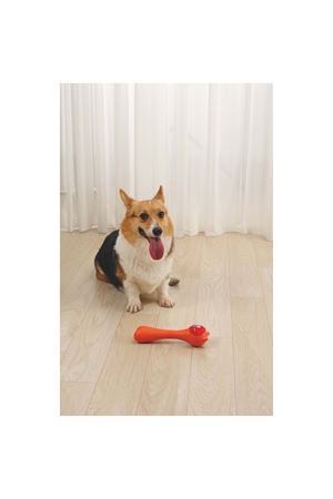 M-Pets Köpek Oyuncağı Rob Ödül Hazneli Turuncu