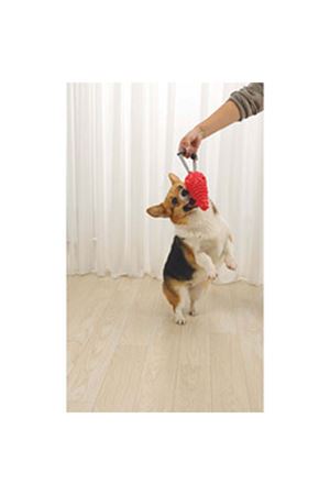 M-Pets Köpek Oyuncağı Drogo Ödül Hazneli Turuncu