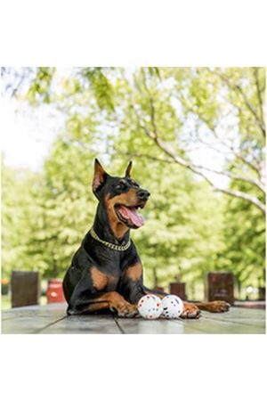 M-Pets Köpek Oyuncağı Parçalanmaz Top Beyaz 7 Cm